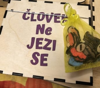 Človek ne jezi se pakiranje Igra - Človek ne jezi se